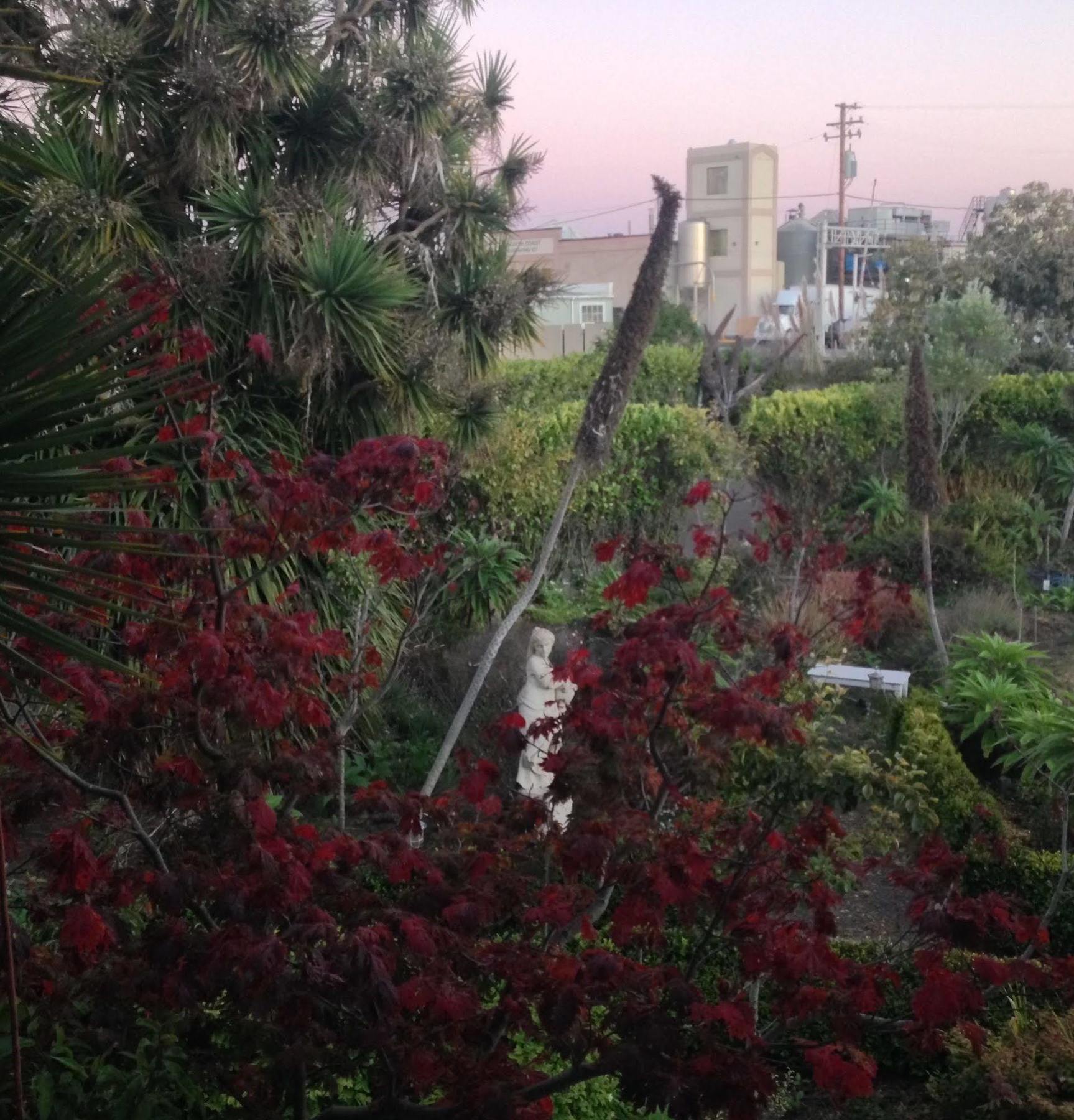 Weller House Inn Fort Bragg Luaran gambar